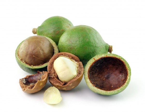 Olio di Macadamia